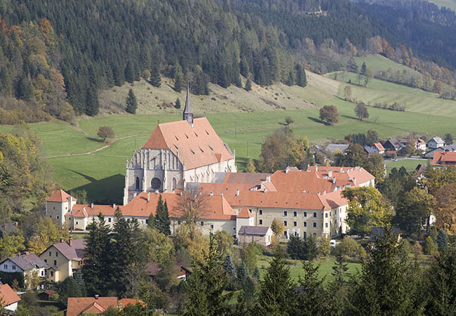 Neuberger Münster