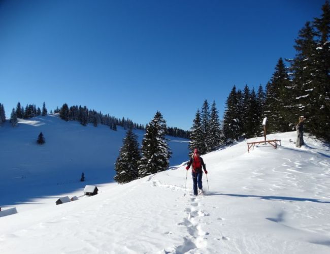 Schneeschuhwandern im Naturpark Mürzer Oberland