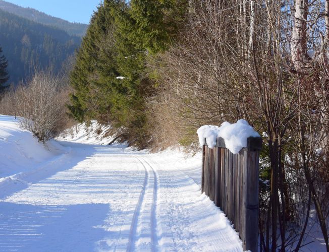 Loipe am Radweg R5