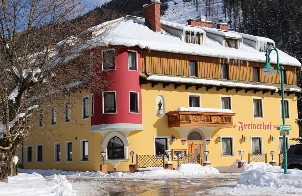 Freinerhof Im Winter