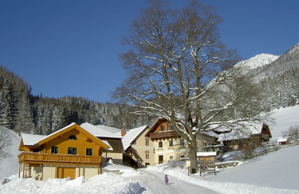 Michlbauer Im Winter