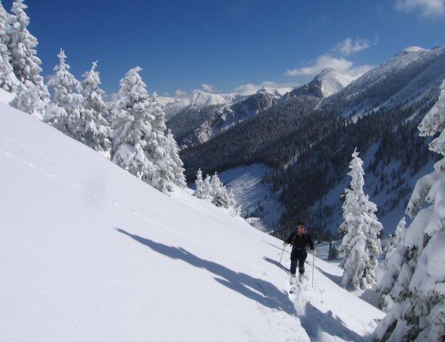 Schneeschuhparadies Hinteralm