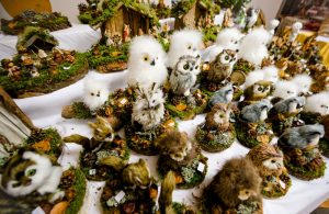 Advent Im Stift 2018 (c) nixxipixx.com