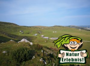 Schneealmplateau_(c)_Steininger