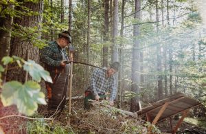 Station 7 - Fleißig wird hier im Wald gearbeitet (c) nixxipixx.com