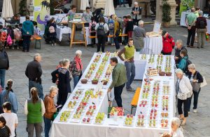 Markt Der Artenvielfalt 2023 8