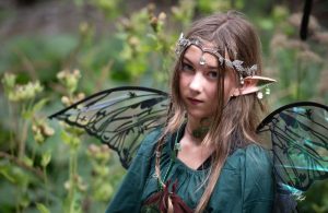 Zauberwald 2025 Web 53